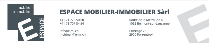 Espace Mobilier Immobilier